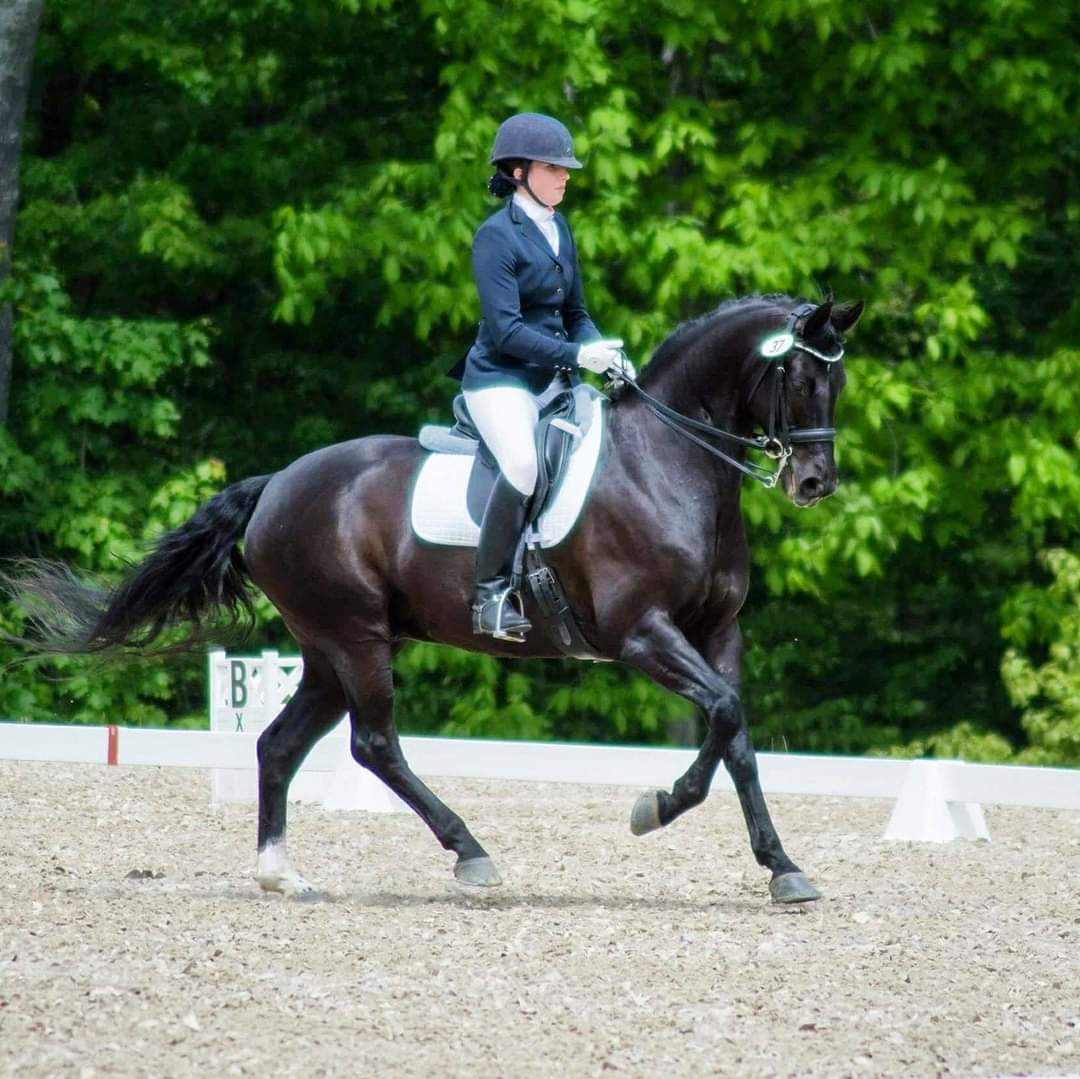 Hannah Fox Custom Equine Nutrition