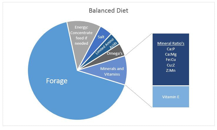 What is a BALANCED diet?