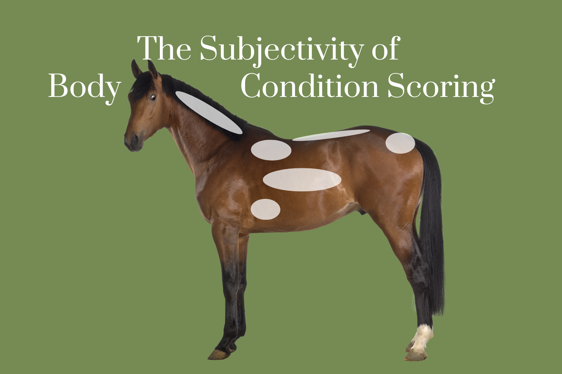 The Subjectivity of Body Condition Scoring