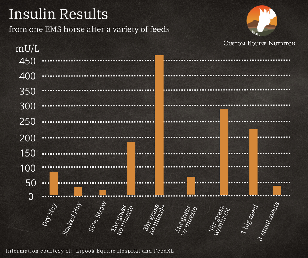 Insulin Response: to a variety of feeds