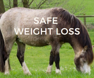 Safe Weight Loss