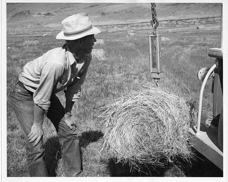 How To Weigh Your Hay