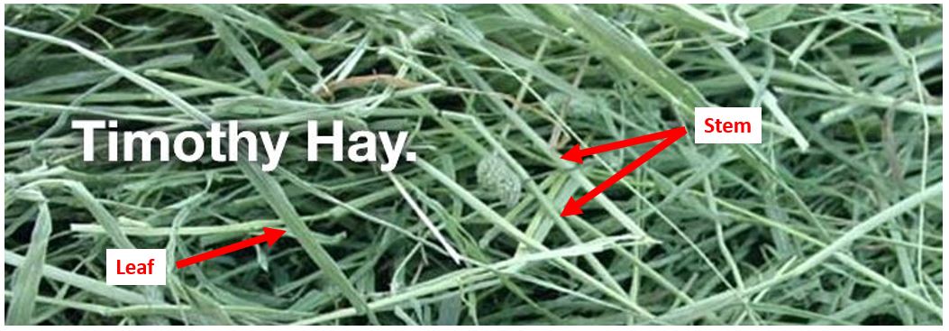 How to hand pull a hay sample