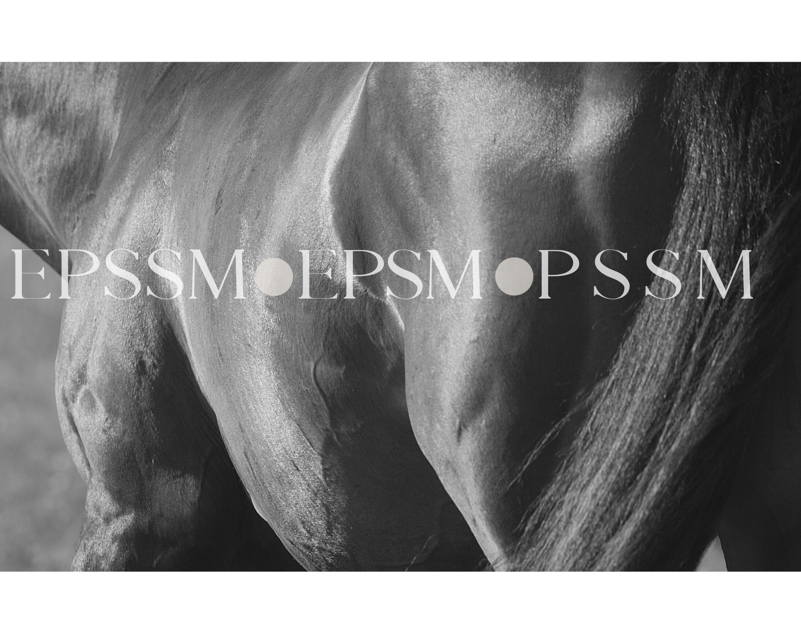 PSSM Custom Equine Nutrition