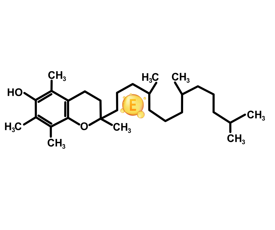 Vitamin E:  Liquid, Powder or Pellets?