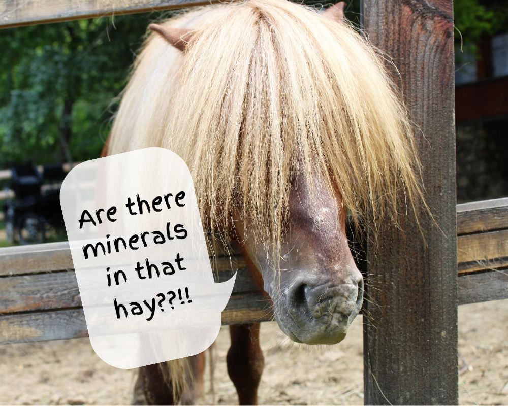 Is your forage meeting your horses mineral requirements?