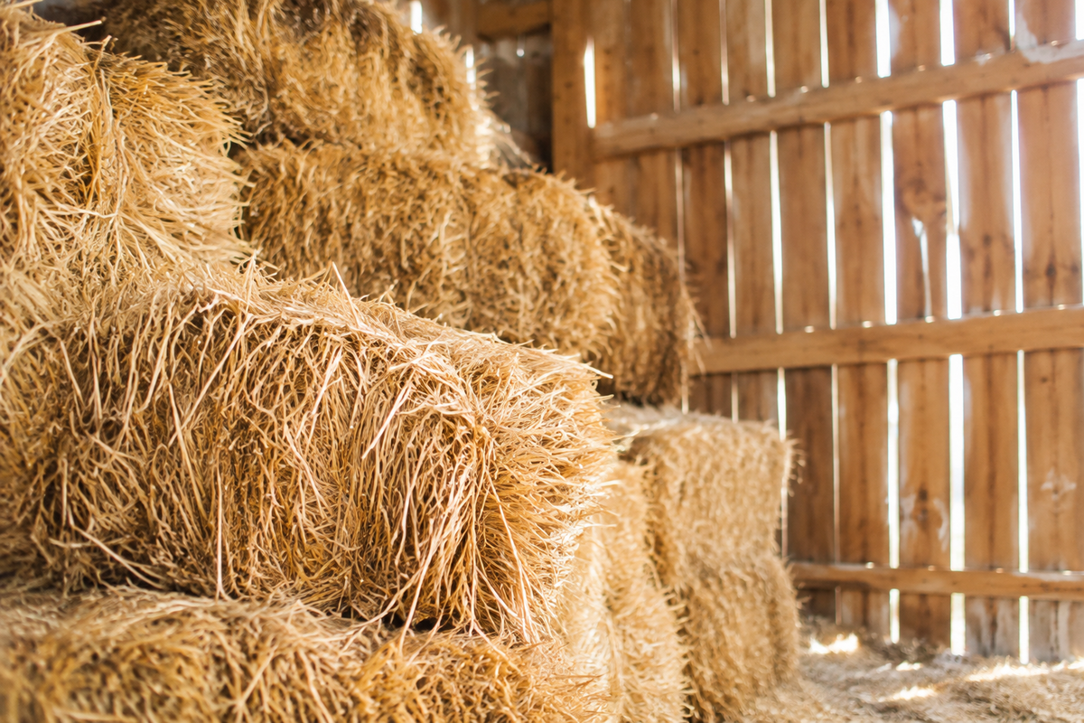 STRAW