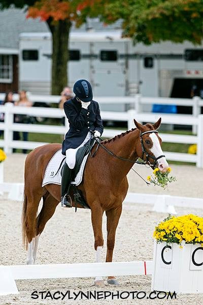 How is your horse's nutrition similar to his dressage training?