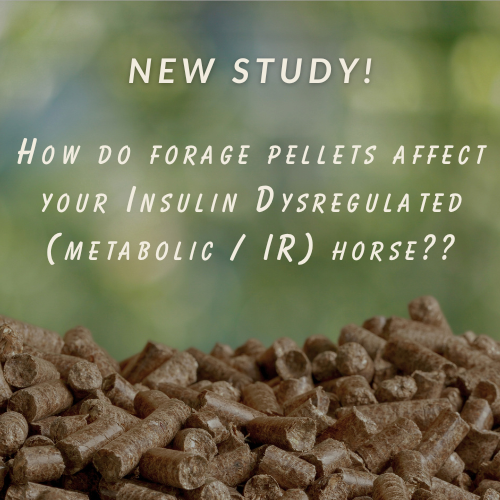 How do forage pellets affect Insulin Dysregulated Horses?