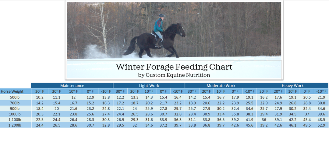 Lunar Eclipse (Simple System Horse Feeds) - Equine Nutrition Analysis